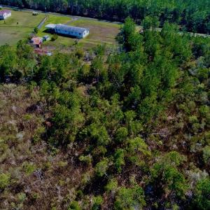 Photo #8 of SOLD property in 1022 Horne Rd, Lowland, NC 10.0 acres