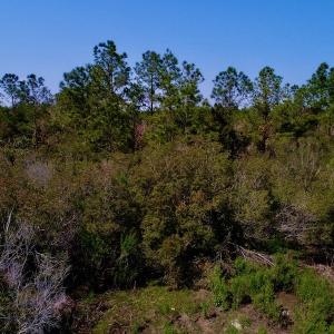 Photo #18 of SOLD property in 1022 Horne Rd, Lowland, NC 10.0 acres