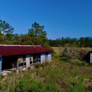 Photo #19 of SOLD property in 1022 Horne Rd, Lowland, NC 10.0 acres