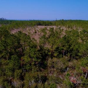 Photo #20 of SOLD property in 1022 Horne Rd, Lowland, NC 10.0 acres