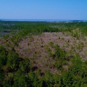 Photo #21 of SOLD property in 1022 Horne Rd, Lowland, NC 10.0 acres