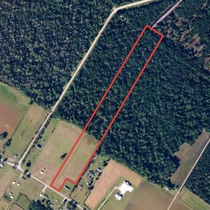 Photo #3 of SOLD property in Off N. Lake Rd, Engelhard , NC 16.8 acres