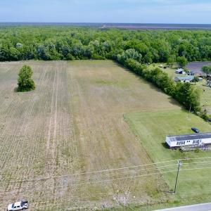Photo #5 of SOLD property in Off N. Lake Rd, Engelhard , NC 16.8 acres