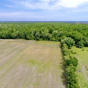 Photo #7 of SOLD property in Off N. Lake Rd, Engelhard , NC 16.8 acres