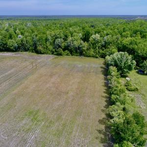 Photo #8 of SOLD property in Off N. Lake Rd, Engelhard , NC 16.8 acres
