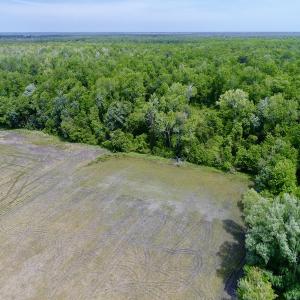 Photo #9 of SOLD property in Off N. Lake Rd, Engelhard , NC 16.8 acres