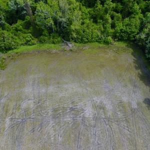 Photo #10 of SOLD property in Off N. Lake Rd, Engelhard , NC 16.8 acres