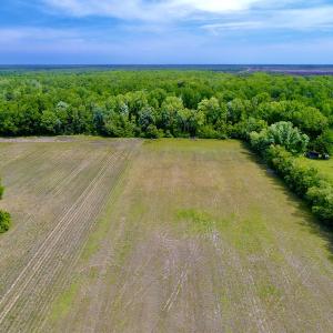 Photo #11 of SOLD property in Off N. Lake Rd, Engelhard , NC 16.8 acres