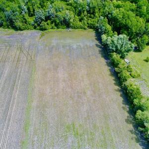 Photo #13 of SOLD property in Off N. Lake Rd, Engelhard , NC 16.8 acres