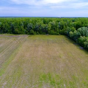 Photo #14 of SOLD property in Off N. Lake Rd, Engelhard , NC 16.8 acres