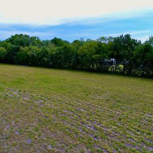 Photo #15 of SOLD property in Off N. Lake Rd, Engelhard , NC 16.8 acres