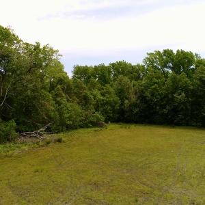 Photo #18 of SOLD property in Off N. Lake Rd, Engelhard , NC 16.8 acres