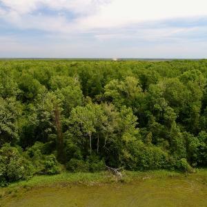 Photo #21 of SOLD property in Off N. Lake Rd, Engelhard , NC 16.8 acres