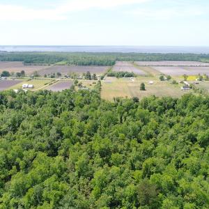 Photo #23 of SOLD property in Off N. Lake Rd, Engelhard , NC 16.8 acres