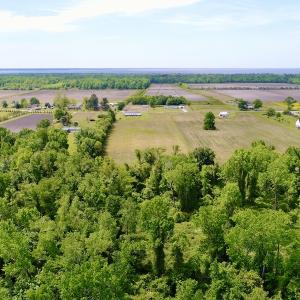 Photo #25 of SOLD property in Off N. Lake Rd, Engelhard , NC 16.8 acres