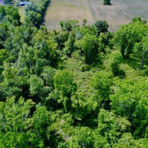 Photo #26 of SOLD property in Off N. Lake Rd, Engelhard , NC 16.8 acres