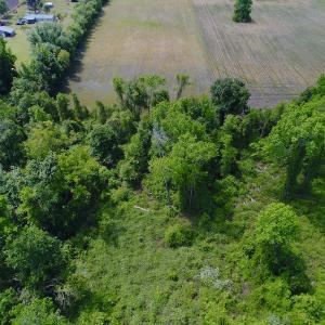 Photo #27 of SOLD property in Off N. Lake Rd, Engelhard , NC 16.8 acres