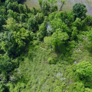 Photo #28 of SOLD property in Off N. Lake Rd, Engelhard , NC 16.8 acres