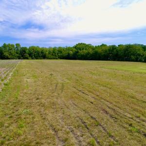 Photo #32 of SOLD property in Off N. Lake Rd, Engelhard , NC 16.8 acres