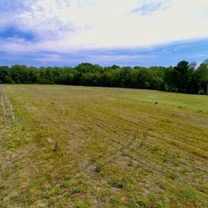 Photo #33 of SOLD property in Off N. Lake Rd, Engelhard , NC 16.8 acres