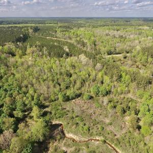 Photo #10 of SOLD property in Off Duke Road  , Nashville, NC 8.6 acres