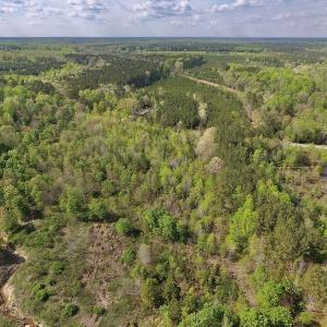 Photo #12 of SOLD property in Off Duke Road  , Nashville, NC 8.6 acres