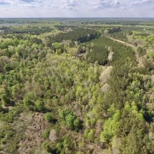 Photo #13 of SOLD property in Off Duke Road  , Nashville, NC 8.6 acres