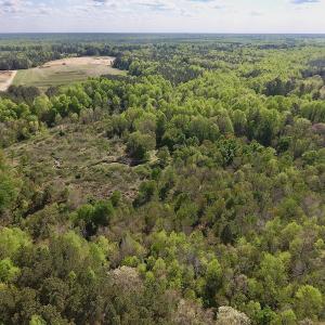 Photo #16 of SOLD property in Off Duke Road  , Nashville, NC 8.6 acres