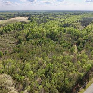 Photo #18 of SOLD property in Off Duke Road  , Nashville, NC 8.6 acres
