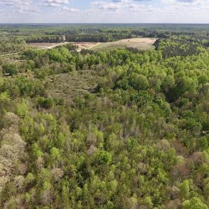 Photo #19 of SOLD property in Off Duke Road  , Nashville, NC 8.6 acres