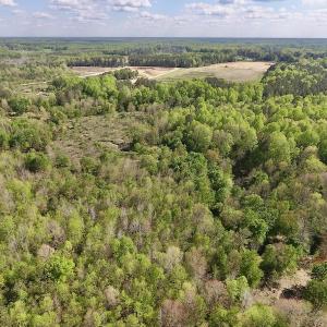 Photo #20 of SOLD property in Off Duke Road  , Nashville, NC 8.6 acres