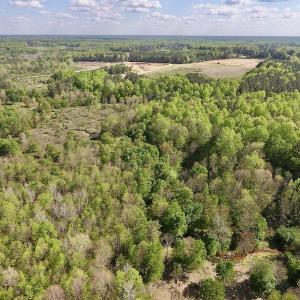Photo #21 of SOLD property in Off Duke Road  , Nashville, NC 8.6 acres
