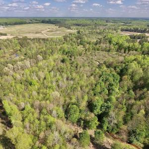 Photo #22 of SOLD property in Off Duke Road  , Nashville, NC 8.6 acres