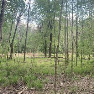 Photo #24 of SOLD property in Off Duke Road  , Nashville, NC 8.6 acres