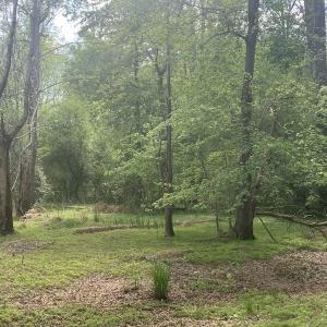 Photo #26 of SOLD property in Off Duke Road  , Nashville, NC 8.6 acres