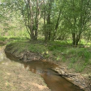Photo #29 of SOLD property in Off Duke Road  , Nashville, NC 8.6 acres