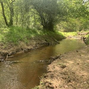 Photo #30 of SOLD property in Off Duke Road  , Nashville, NC 8.6 acres