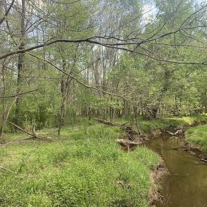 Photo #31 of SOLD property in Off Duke Road  , Nashville, NC 8.6 acres