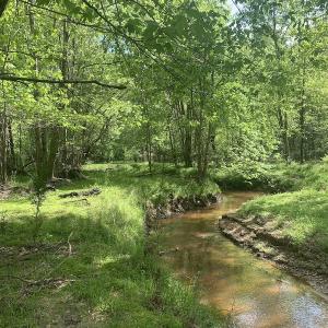 Photo #32 of SOLD property in Off Duke Road  , Nashville, NC 8.6 acres