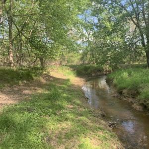 Photo #35 of SOLD property in Off Duke Road  , Nashville, NC 8.6 acres
