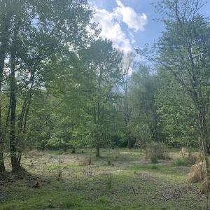 Photo #36 of SOLD property in Off Duke Road  , Nashville, NC 8.6 acres