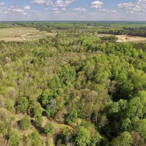 Photo #4 of SOLD property in Off Duke Road  , Nashville, NC 8.6 acres
