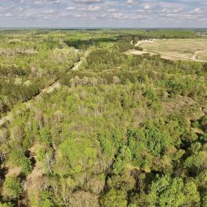 Photo #6 of SOLD property in Off Duke Road  , Nashville, NC 8.6 acres