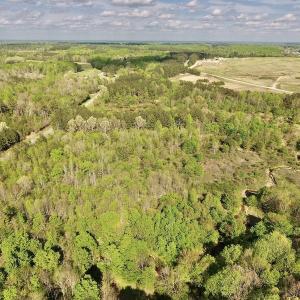 Photo #7 of SOLD property in Off Duke Road  , Nashville, NC 8.6 acres