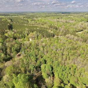 Photo #8 of SOLD property in Off Duke Road  , Nashville, NC 8.6 acres
