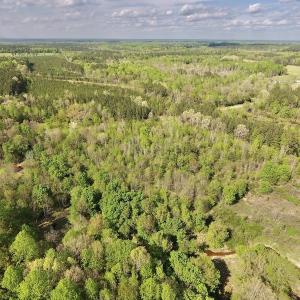 Photo #9 of SOLD property in Off Duke Road  , Nashville, NC 8.6 acres