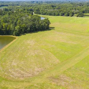 Photo #5 of SOLD property in Off John Lewis Road, Burlington, NC 10.0 acres