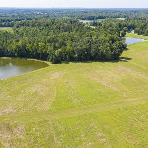 Photo #6 of SOLD property in Off John Lewis Road, Burlington, NC 10.0 acres