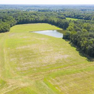 Photo #8 of SOLD property in Off John Lewis Road, Burlington, NC 10.0 acres