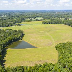 Photo #15 of SOLD property in Off John Lewis Road, Burlington, NC 10.0 acres